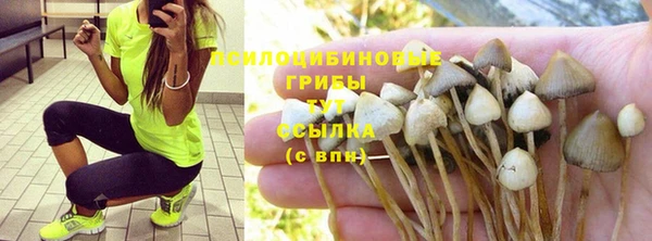 СК Арсеньев
